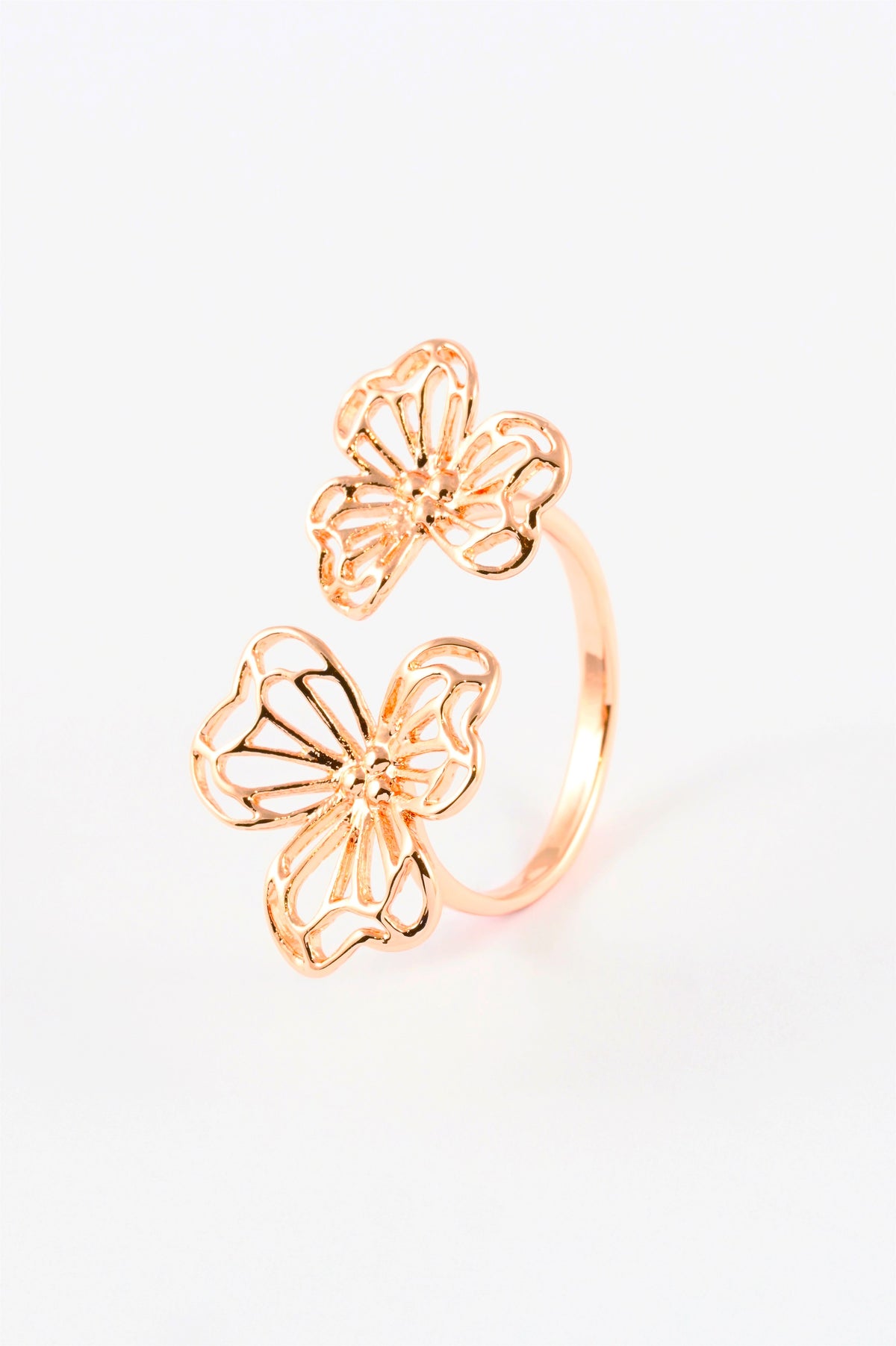 107886_1.jpg
